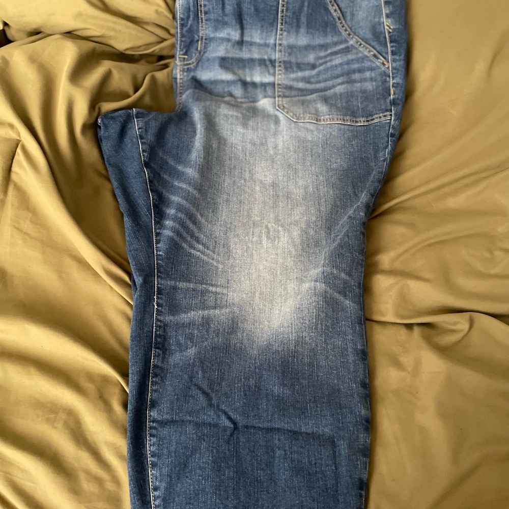 Blue jeans from Torrid. Size 28
